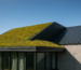 Cubiertas-Ecologicas-Una-Opcion-Sostenible-para-tu-Proyecto